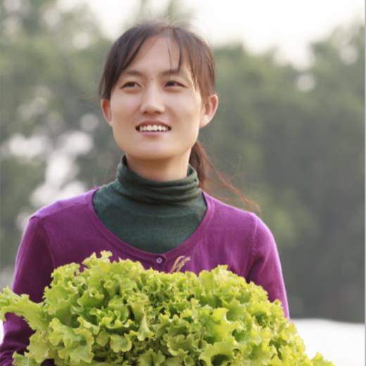 石嫣农场有机蔬菜份额 商品图1