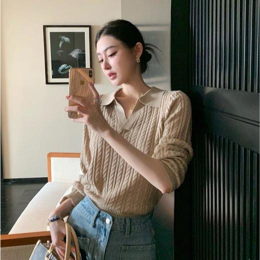 【3-5天发货】春夏打底衫 老钱风拉夫绞花polo领针织衫 商品图10