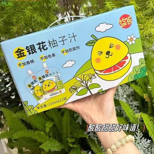 益答金银花柚子汁 商品图0