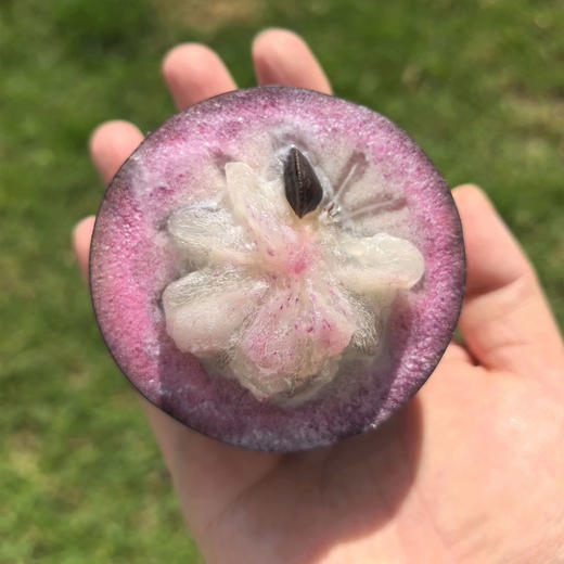 【预售】极客牛奶果丨淡淡奶香，果肉细腻，保质期较短，需尽快食用。深紫色果肉会涩，只吃白肉和浅红肉⭐️顺丰空运 商品图1