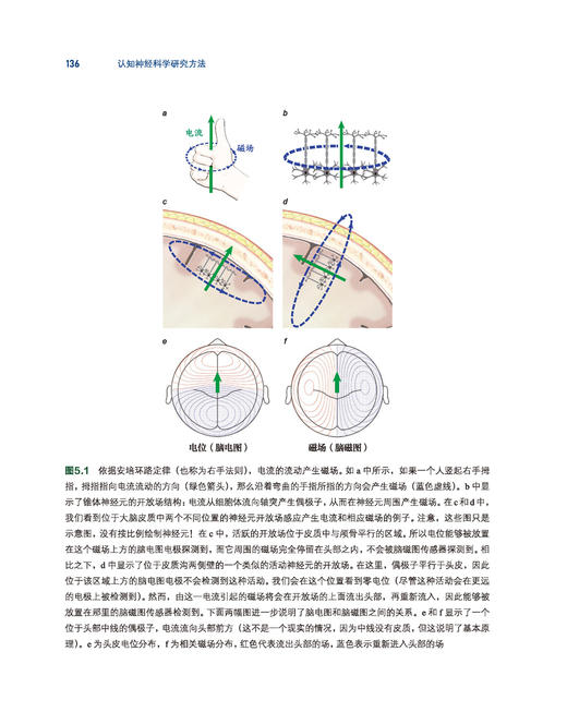 万千心理·认知神经科学研究方法（全彩） 商品图4