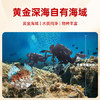 宫壹大连即食海参净含量3斤（25-35只） 礼盒 京东自营辽刺参源头直发 商品缩略图6