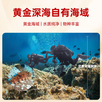 宫壹大连即食海参净含量3斤（25-35只） 礼盒 京东自营辽刺参源头直发 商品图6