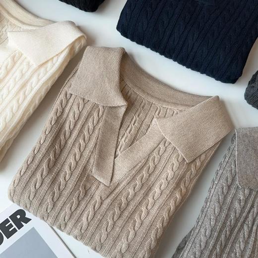 【3-5天发货】春夏打底衫 老钱风拉夫绞花polo领针织衫 商品图7
