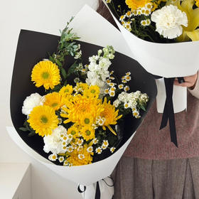菊花花束

年年陌上生春草
岁岁清明思故人