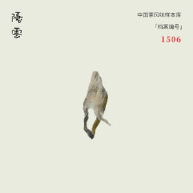 苔雾｜2026年碧螺春