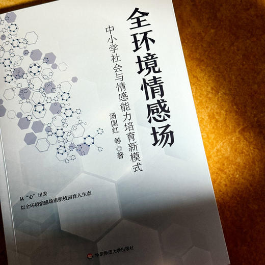 全环境情感场 中小学社会与情感能力培育新模式 创新育人模式 培养学生的社会与情感能力 商品图4