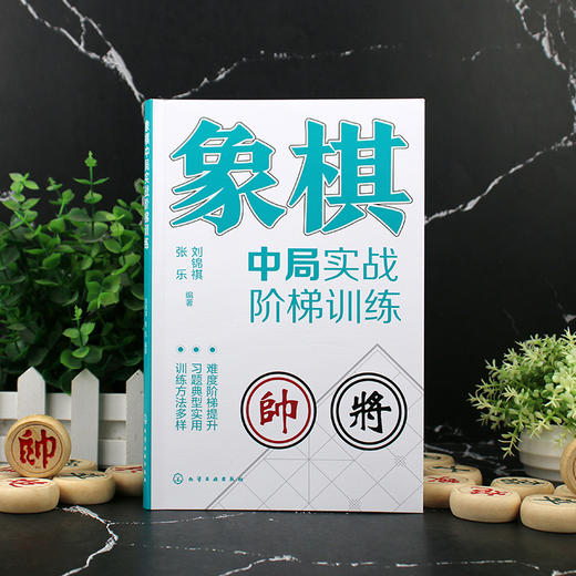 象棋中局实战阶梯训练 商品图1
