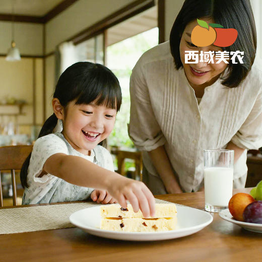 西域美农  奶豆腐200g/袋  四种口味 原味/ 蜂蜜/炒米/牛肉干味  收到冷冻储存 商品图6