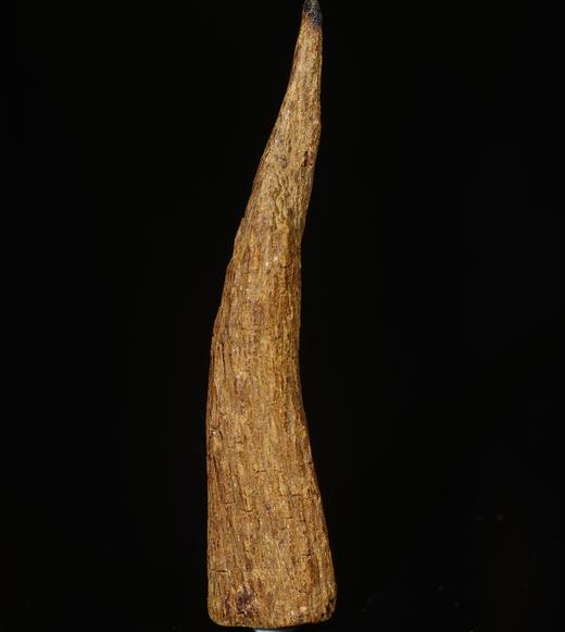 BC.SN3.21-2   富森红土沉水（材料） ，5.11g 商品图0