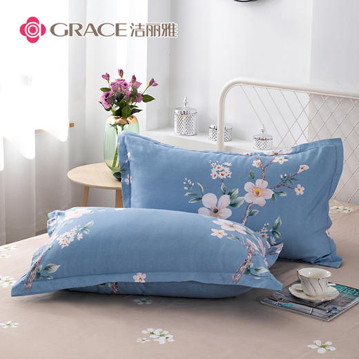 洁丽雅（Grace)乔微.亲肤磨毛四件套JLY25202 商品图3