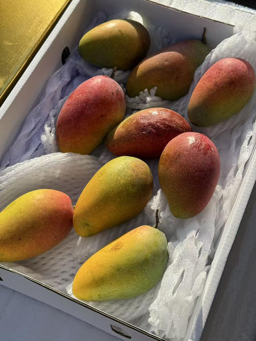 海南空运贵妃芒 商品图4