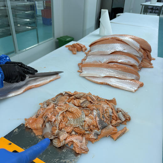 【预售4.11跟鱼肉一个包裹发出】新西兰帝王鲑边料【不单独发货，需要跟帝王鲑鱼肉一起发】丨三文鱼的天花板--帝王鲑，边料性价比是真的高！每周五发货，数量不多！⭐️顺丰快递 商品图5