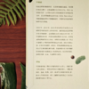 植物学家的笔记 申惠雨/著 罗竣/译 植物学 散文 科普 植物插画 广西师范大学出版社 商品缩略图2