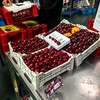 大连美早樱桃国产车厘子顺丰包邮 商品缩略图4