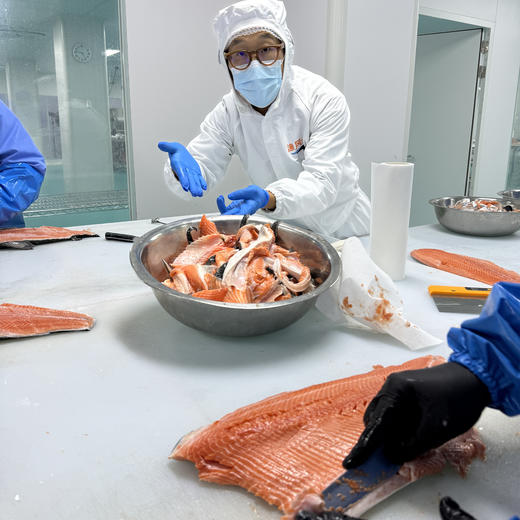 【预售4.11跟鱼肉一个包裹发出】新西兰帝王鲑边料【不单独发货，需要跟帝王鲑鱼肉一起发】丨三文鱼的天花板--帝王鲑，边料性价比是真的高！每周五发货，数量不多！⭐️顺丰快递 商品图1