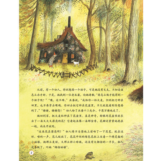 《世界经典童话 名绘精选版》（全10册） 商品图3