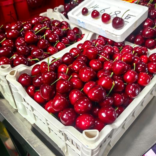大连美早樱桃国产车厘子顺丰包邮 商品图5