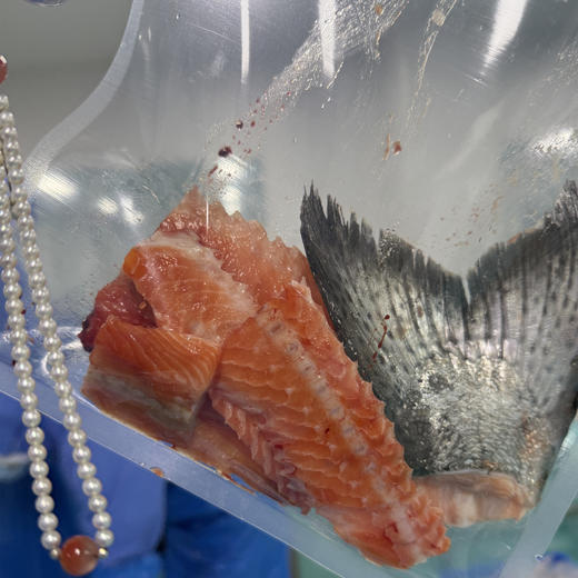 【预售4.11跟鱼肉一个包裹发出】新西兰帝王鲑边料【不单独发货，需要跟帝王鲑鱼肉一起发】丨三文鱼的天花板--帝王鲑，边料性价比是真的高！每周五发货，数量不多！⭐️顺丰快递 商品图10