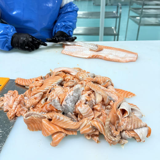 【预售4.11跟鱼肉一个包裹发出】新西兰帝王鲑边料【不单独发货，需要跟帝王鲑鱼肉一起发】丨三文鱼的天花板--帝王鲑，边料性价比是真的高！每周五发货，数量不多！⭐️顺丰快递 商品图4