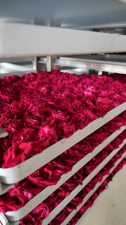 云南有机冻干墨红玫瑰花茶 高原头茬大朵 -40℃锁鲜 疏肝解郁 养生花茶50g 商品图3