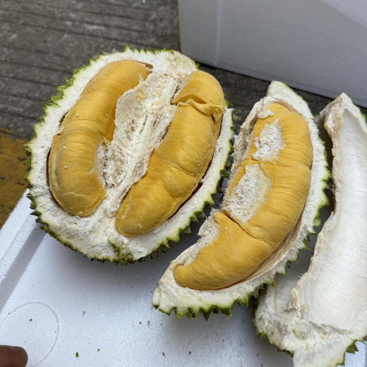 马来西亚液氮猫山王榴莲（广州发货）丨保4房，微苦回甘、蜜甜奶香味；⭐️顺丰快递 商品图0
