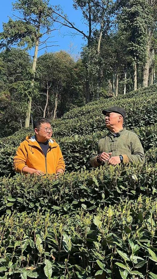 【明前西湖龙井茶】【26年头茬】 采自龙井茶核心产区——狮峰山 市价每斤在4000元以上 一标一码可验真伪 商品图4