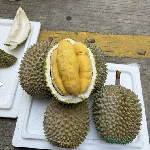 马来西亚液氮猫山王榴莲（广州发货）丨保4房，微苦回甘、蜜甜奶香味；⭐️顺丰快递 商品图3
