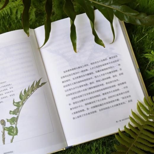 植物学家的笔记 申惠雨/著 罗竣/译 植物学 散文 科普 植物插画 广西师范大学出版社 商品图8