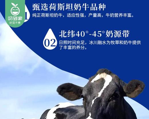 花园天山严选牧场纯牛奶/1箱（200g*15盒） 商品图3