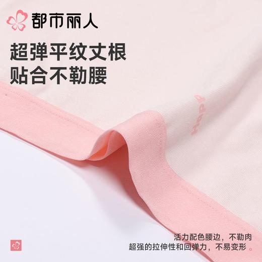 都市丽人内裤女士内裤40支棉内裤棉质内裤舒肤棉LKC5B1 商品图5