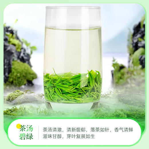 茶马世家丨早春恩施玉露 绿茶 明前特级 圆罐 100g 商品图7