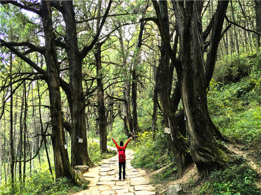 五一4日【徒步古蜀道】一条古蜀道-半部华夏史の徒步金牛古蜀道-剑阆古蜀道-剑门关-昭化古城-不夜三国城-广元 商品图5