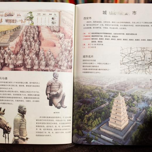 《藏在地图里的地理百科：中国+世界》（共16册）孩子好奇的地理知识这里都有（72小时发货） 商品图5