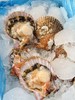 【生蚝+扇贝】 商品缩略图1