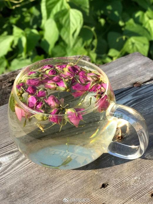 野玫瑰花茶·大兴安岭的山野味道·春阳森林农场 商品图0