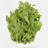 【同行精选】蔬菜箱6斤 自然农法种植 共7种菜品：胡萝卜，豌豆苗、油麦菜，卷心菜，菠菜，莴笋，苏州青苔 【京东空运】 商品缩略图4