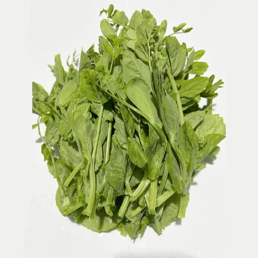 【同行精选】蔬菜箱6斤 自然农法种植 共7种菜品：胡萝卜，豌豆苗、油麦菜，卷心菜，菠菜，莴笋，苏州青苔 【京东空运】 商品图4