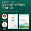 【2026年新茶预售】茶马世家丨信阳毛尖 河南名优绿茶 特级 意境 礼盒装 250g，新茶预计4月10日发货 商品缩略图4