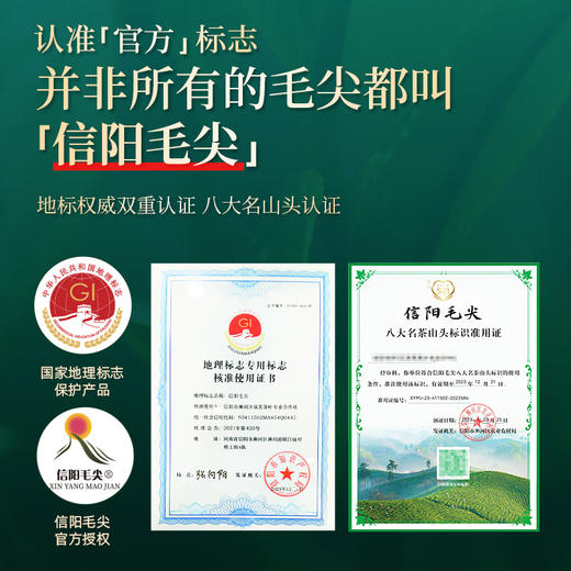 【2026年新茶预售】茶马世家丨信阳毛尖 河南名优绿茶 特级 意境 礼盒装 250g，新茶预计4月10日发货 商品图4
