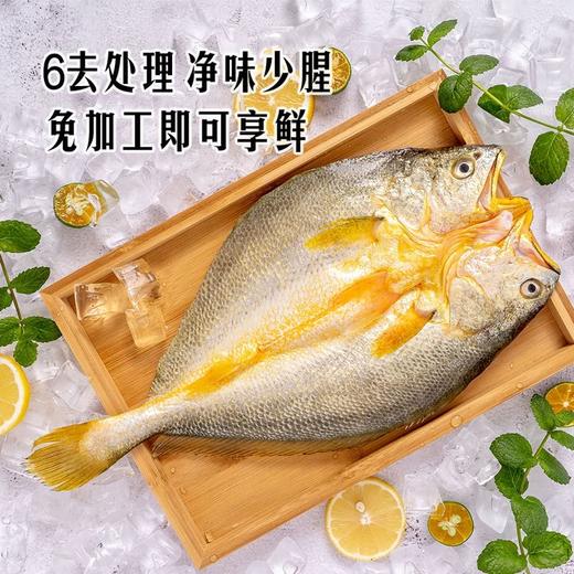 MM 山姆 黄鱼鲞 1.1kg 商品图1