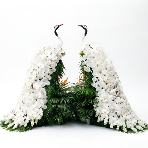 鹤舞兰香 商品图0