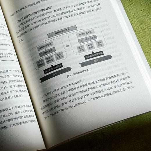 化知识成素养的15种经历 汤林春 吴宇玉 长三角教育科研丛书 商品图10