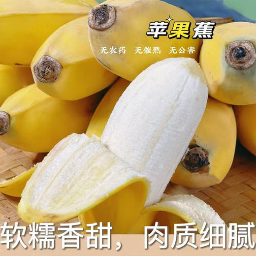 福建 小胖苹果蕉 净重4斤 商品图3