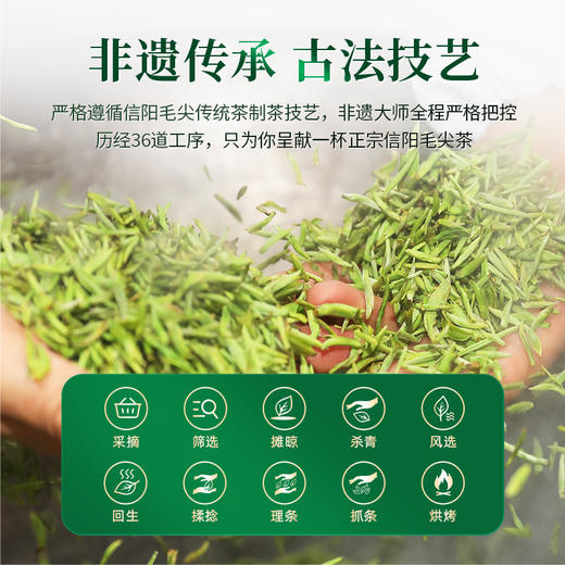 【2026年新茶预售】茶马世家丨信阳毛尖 河南名茶 绿茶 特级 50g 罐装，新茶预计4月10日发货 商品图3