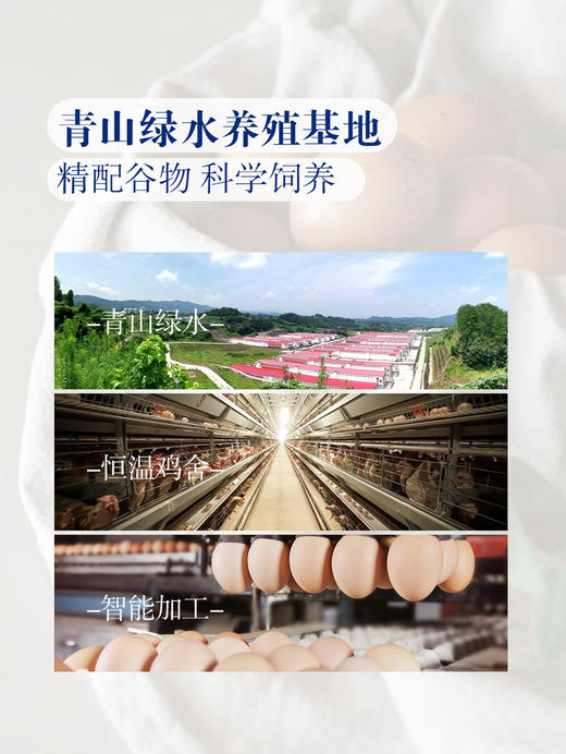 MM 山姆 德青源 蛋博士大码鲜鸡蛋 30枚 1.8kg 商品图4