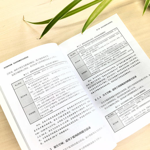 低空服务保障：安全体系建设与应急实战 商品图3