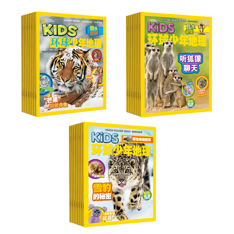 环球少年地理过刊组合