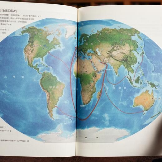 《藏在地图里的地理百科：中国+世界》（共16册）孩子好奇的地理知识这里都有（72小时发货） 商品图9