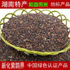 紫香贡米血糯米黑米红米湖南特产新化紫鹊界紫米新米糙米饭紫糯米 商品缩略图0